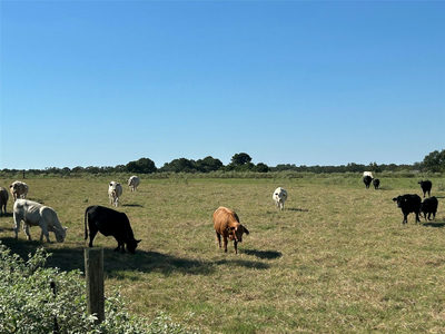 5.556 acres Farris Lane Ln — photo 2