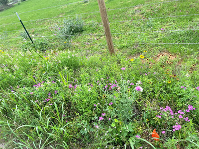 5.556 acres Farris Lane Ln — photo 4