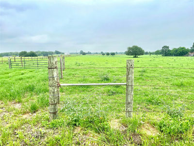 5.556 acres Farris Lane Ln — photo 5