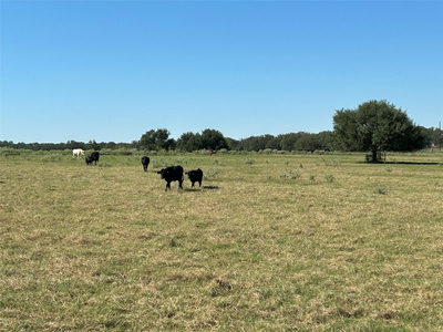 5.556 acres Farris Lane Ln — photo 5