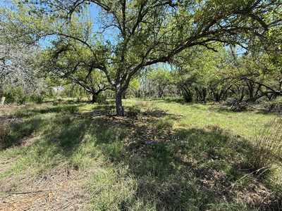 Lot 106 E Flying Owl Dr — photo 2