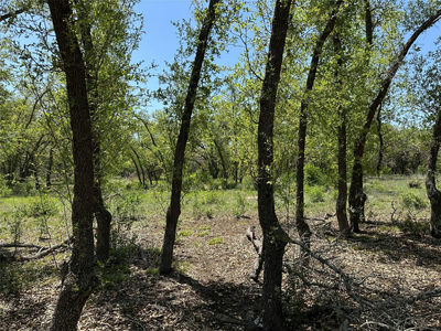 Lot 106 E Flying Owl Dr — photo 5