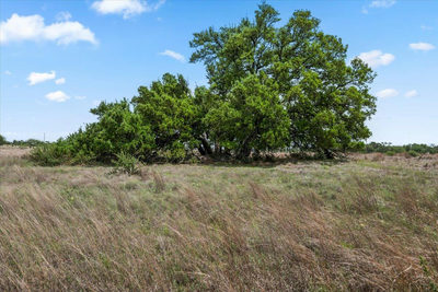 6594 W Hwy 290 — photo 4