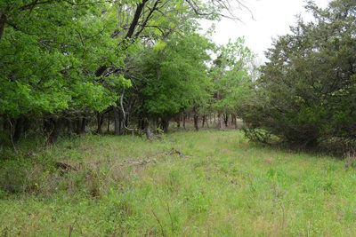 0B FM 86 — photo 3
