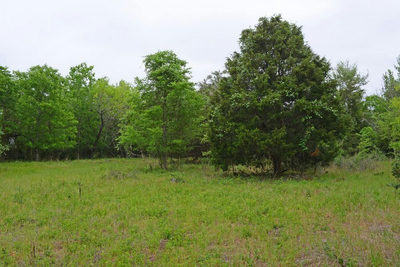 0B FM 86 — photo 2