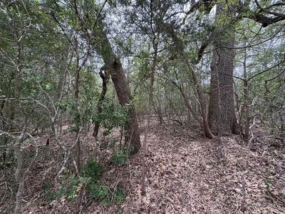 185 Kaaawa Ln — photo 4