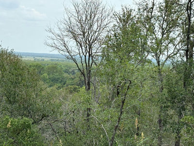 0000 Kaukonahua Ln — photo 3