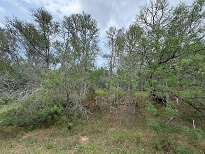 0000 Kaukonahua Ln — photo 4
