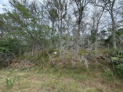 0000 Kaukonahua Ln — photo 2