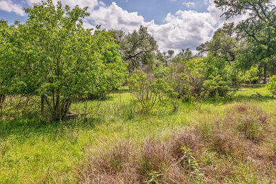 12182 Jollyville Rd — photo 4