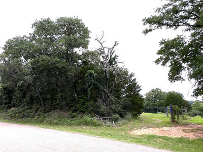 160 Rosanky Cattle Company Rd — photo 4