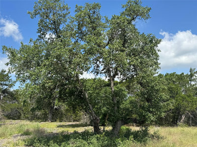Lot 37 Riparian Elm Rd — photo 2