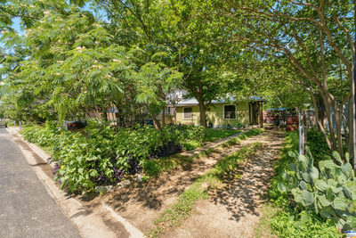 4416 Hank Ave — photo 3