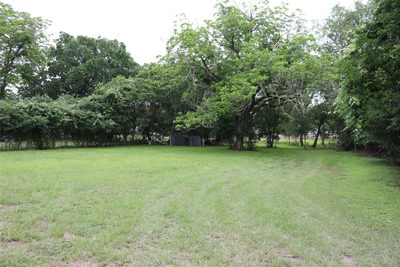 1006 Johnson St — photo 3