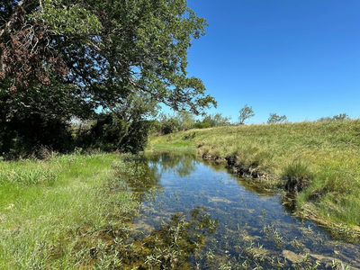 23 acres County Road 330 — photo 2