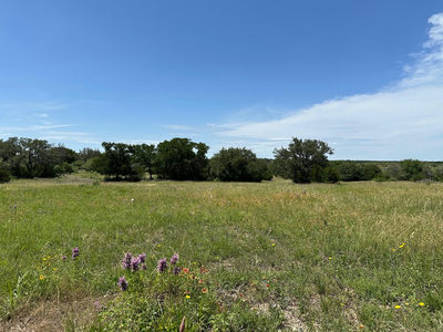23 acres County Road 330 — photo 4