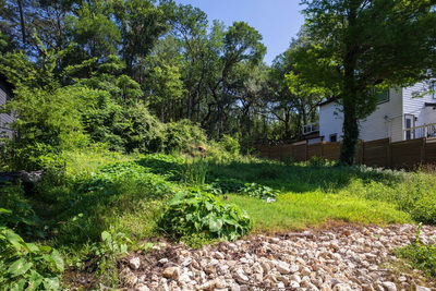 3600 Oak Springs Dr — photo 5