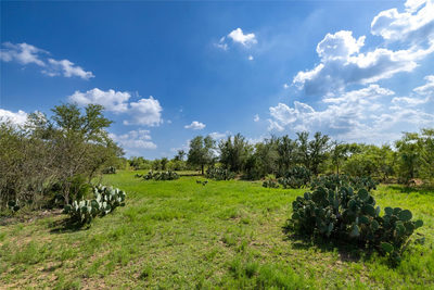 410 Green Acre Dr — photo 2