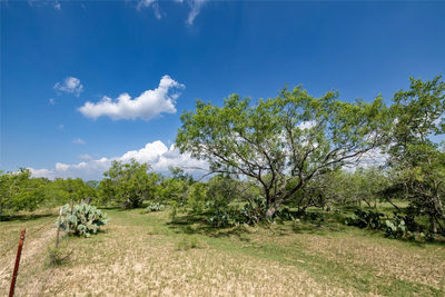 410 Green Acre Dr — photo 3