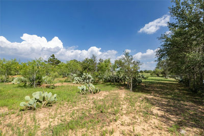 410 Green Acre Dr — photo 4