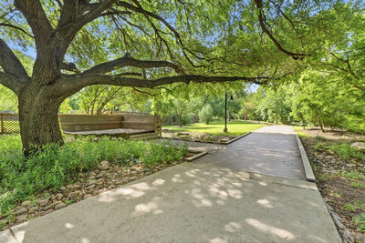 14818 Yellowleaf Trl — photo 4
