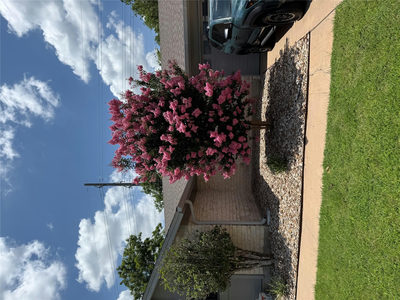 1002 Deep Wood Dr — photo 2