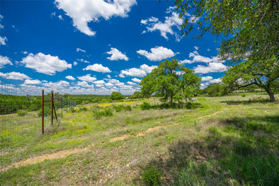 262 Cuesta Pass — photo 4