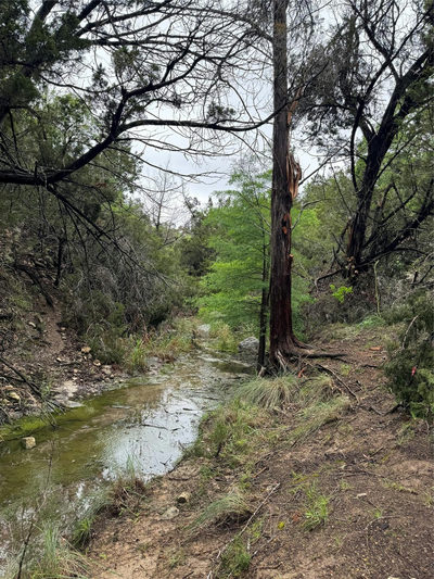N/A Windy Hills Rd — photo 3