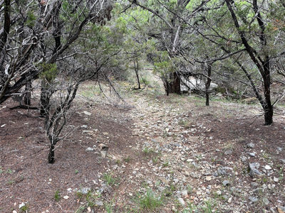 21209 Palomino Cv — photo 4
