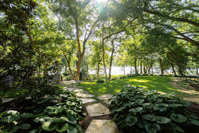 1707 River Hills Rd #B & C — photo 4