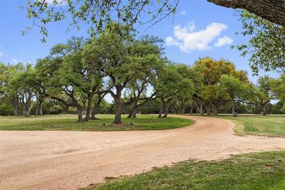 7503 E US Hwy 290 — photo 2