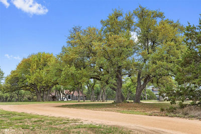 7503 E US Hwy 290 — photo 3