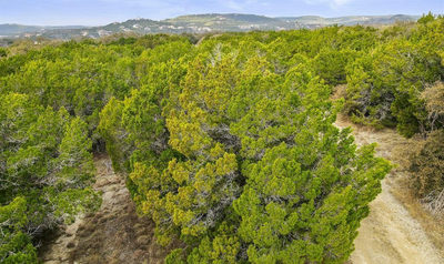 10033 Lime Creek Rd — photo 4