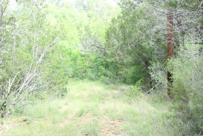475 County Road 343-A Rd — photo 4