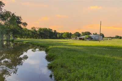 4140 County Road 467 — photo 3