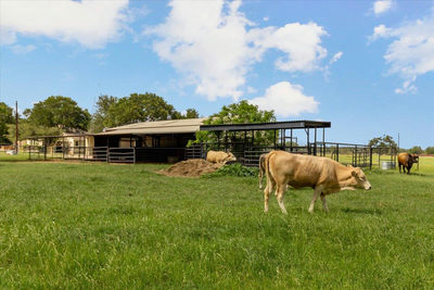 4140 County Road 467 — photo 5