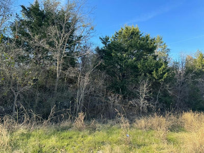 8405 Taylorsville Rd — photo 4