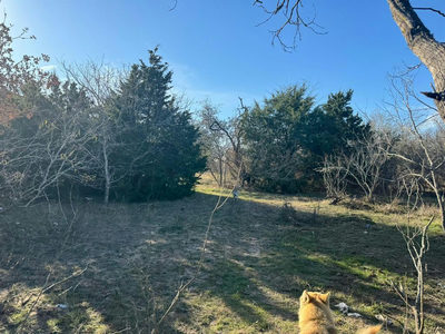 8405 Taylorsville Rd — photo 2