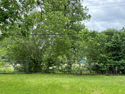 11507 Oak Trl — photo 4