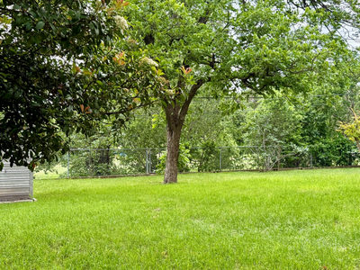 11507 Oak Trl — photo 5
