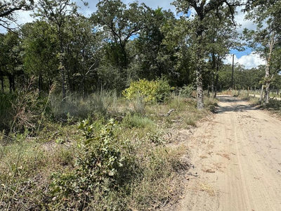 [Lot 2] 000 Jordan Ln — photo 4