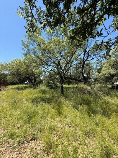Lot 8009 Tee Off — photo 5