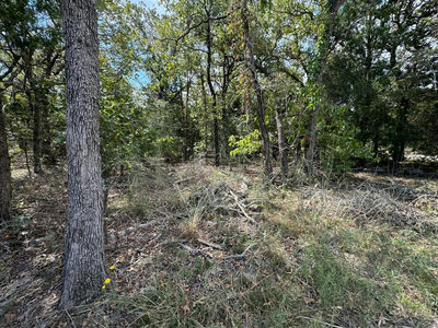 [Lot 1] 000 Jordan Ln — photo 2