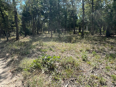 [Lot 1] 000 Jordan Ln — photo 3