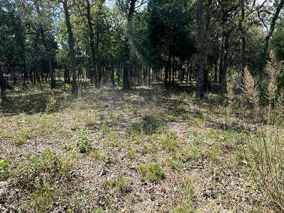 [Lot 1] 000 Jordan Ln — photo 5