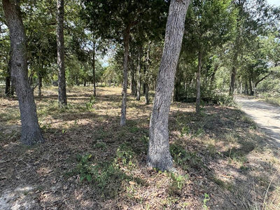[Lot 1] 000 Jordan Ln — photo 4
