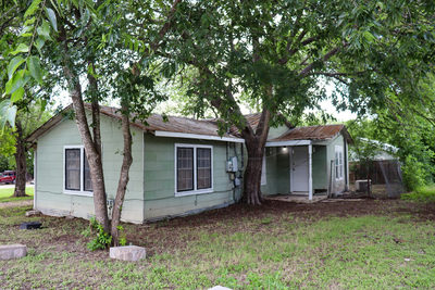 803 Third St — photo 3