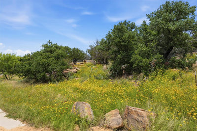 (Lot 30) Peninsula Dr — photo 2