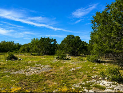 300 Live Oak Hills Ct — photo 5