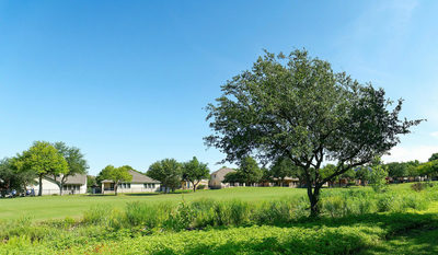 1116 Hillridge Dr — photo 4
